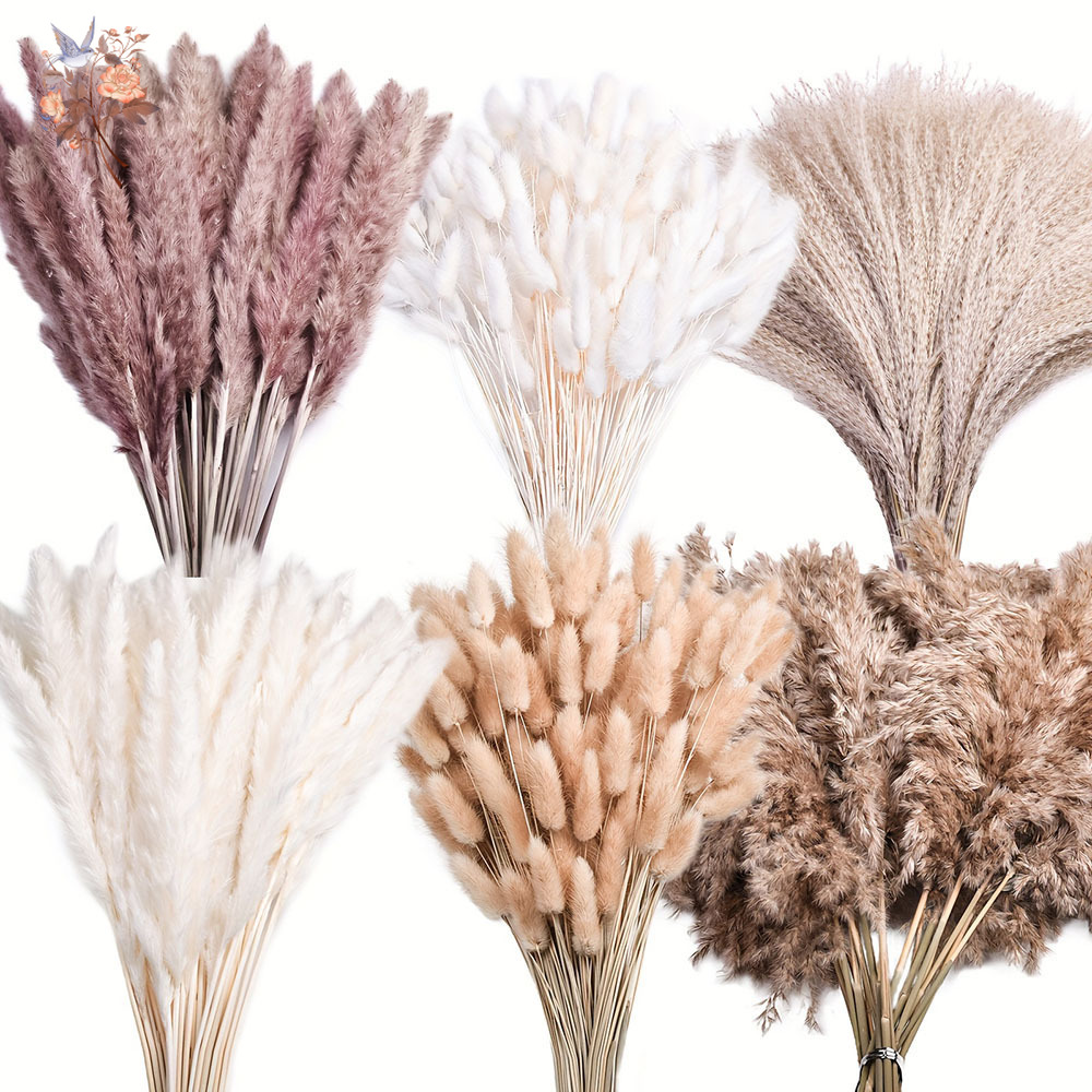 Pampas Grass Decor - 320 sztuk mieszanych puszystych dużych suszonych