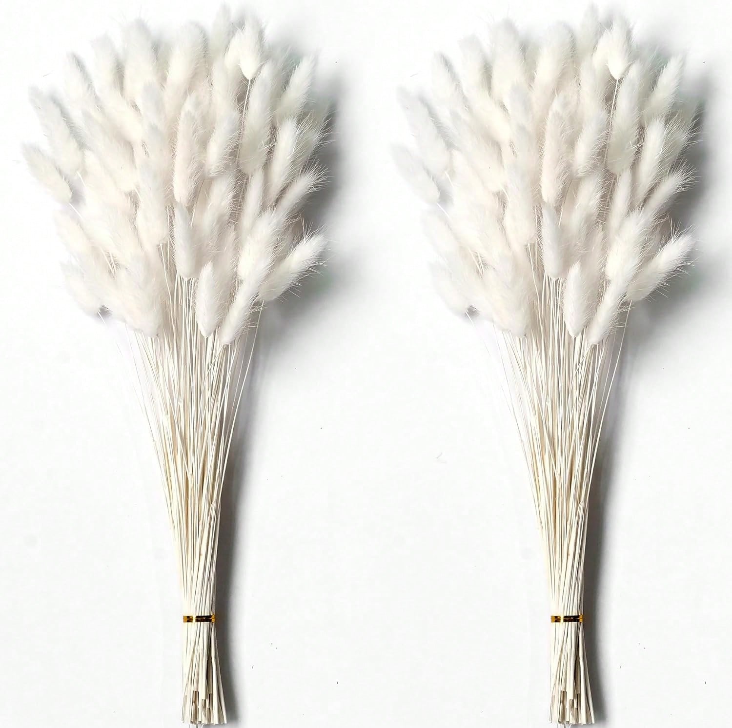 Pampas Grass Decor - 120 SZT. Suszone Kwiaty Pampas Grass