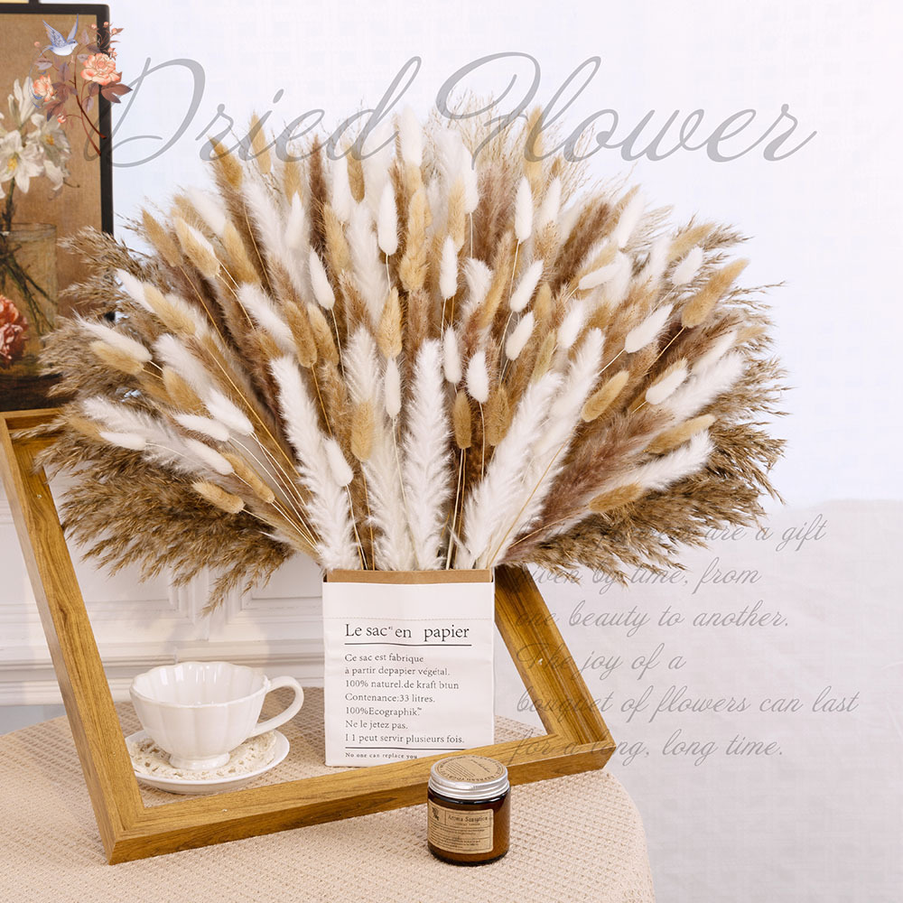 320 sztuk mieszanych puszystyc – Pampas Grass Decor recenzja i cena
